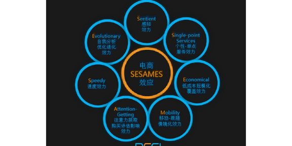 惠州大亚湾众凯教育信息咨询服务部 专业信息技术咨询服务解析