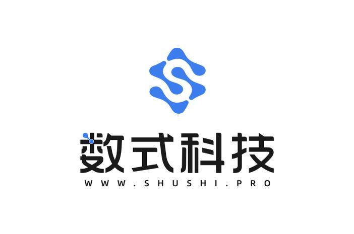 杭州数式网络科技 数字时代的智慧护航者